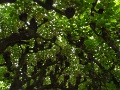 R0010973_1152