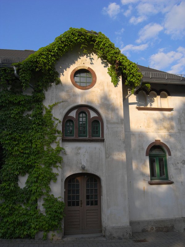 R0010494_864.jpg - Exif_JPEG_PICTURE                                              