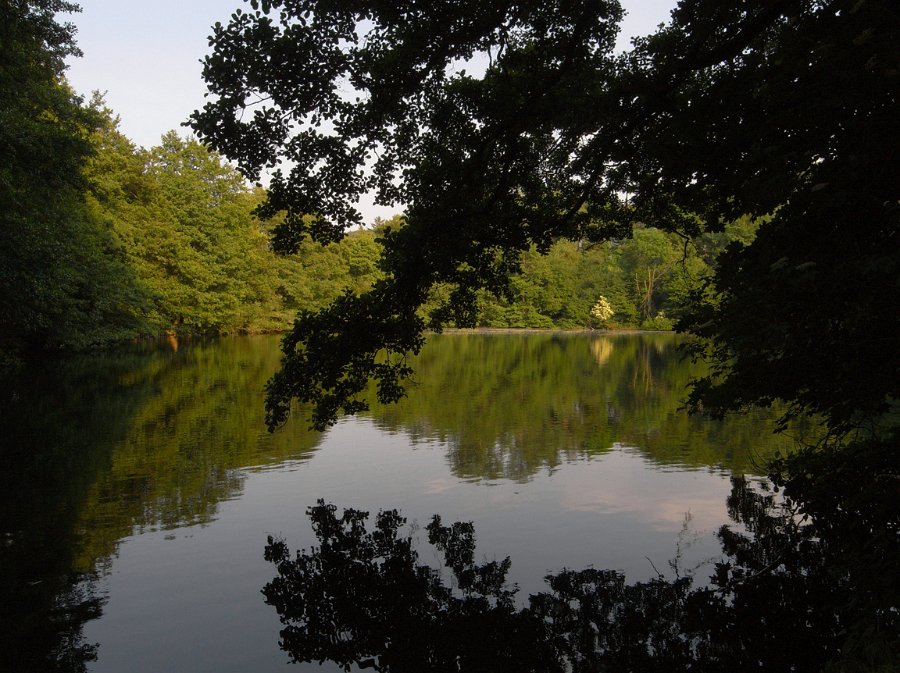 R0010533_01_1152.jpg - Exif_JPEG_PICTURE                                              