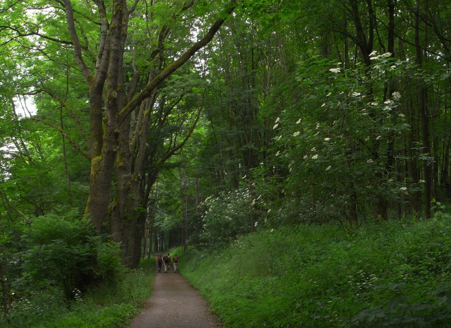 R0010574_01_1152.jpg - Exif_JPEG_PICTURE                                              