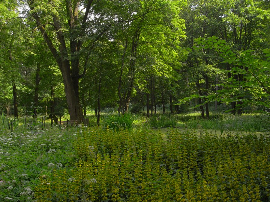 R0010592_1152.jpg - Exif_JPEG_PICTURE                                              