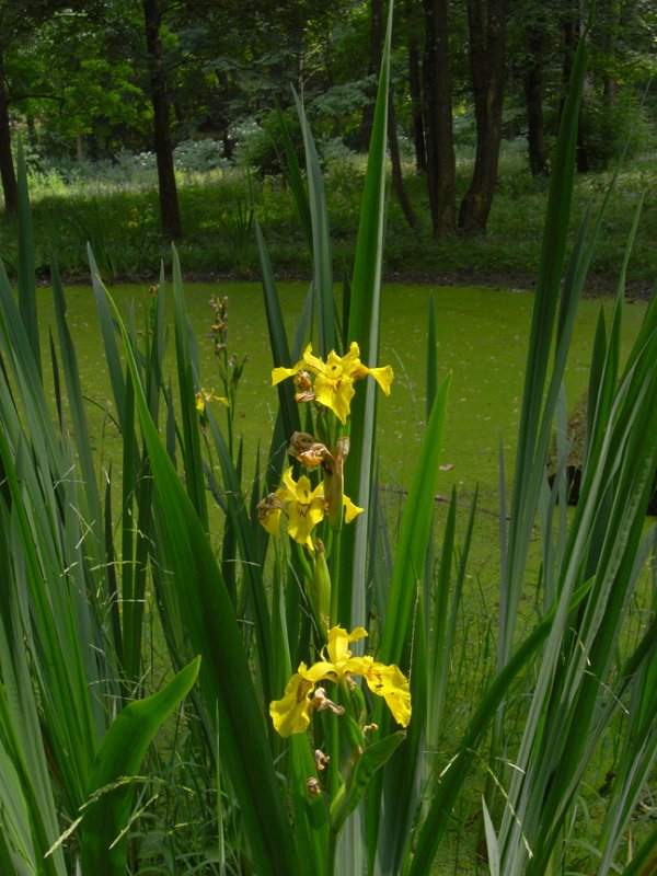 R0010594_1152.jpg - Exif_JPEG_PICTURE                                              