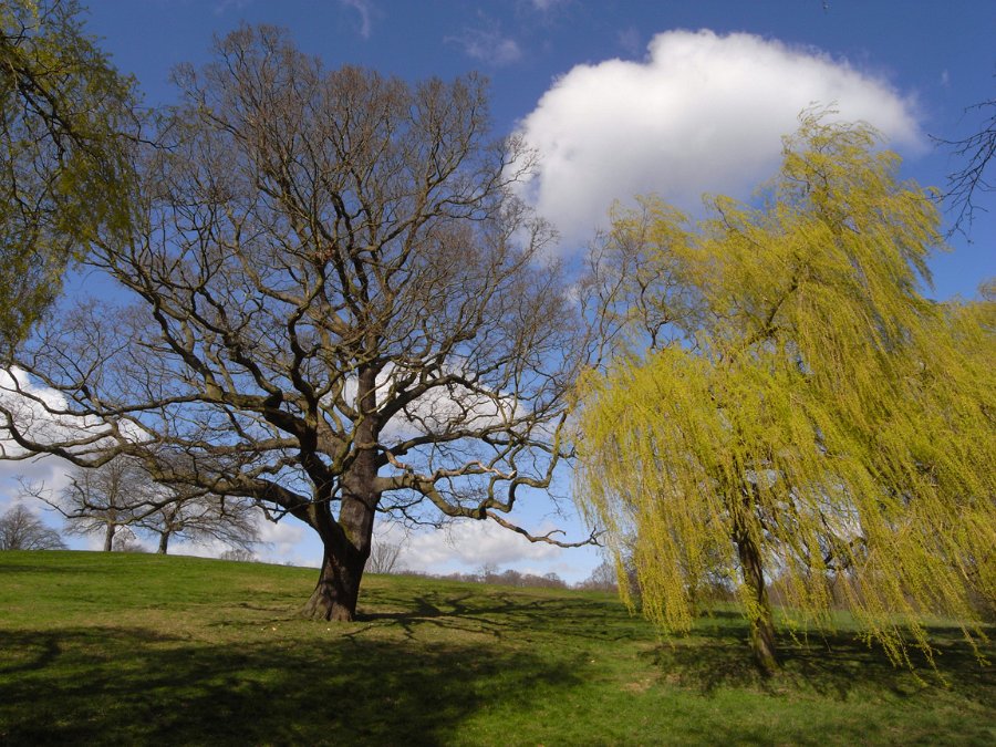 R0011399_1152.jpg