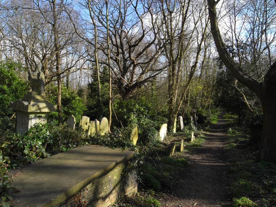 R0011454_1152.jpg