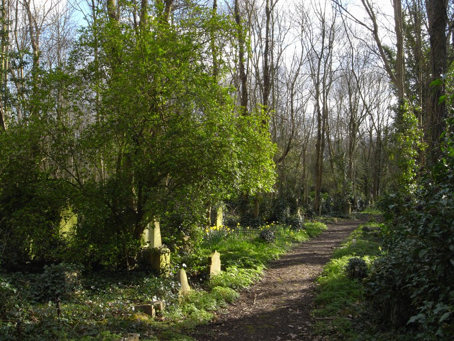 R0011488_1152.jpg