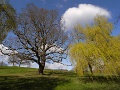 R0011399_1152