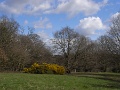 R0011402_1152