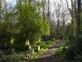 R0011488_1152